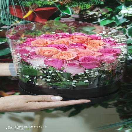 Kutuda Şeffaf Pembe Gül 20 Adet